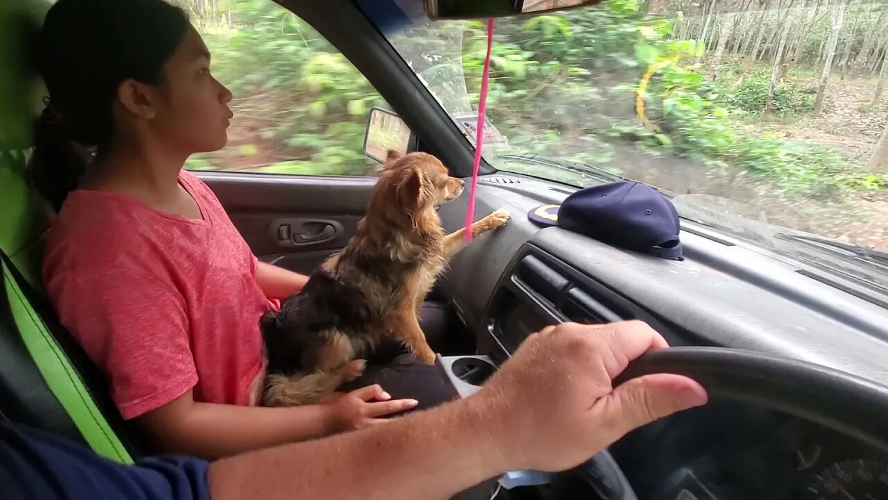 Ride home from the farm