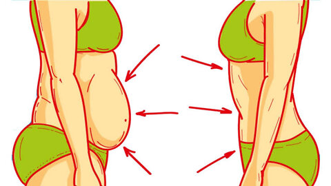 How to lose weight without skipping meals and or doing exercises
