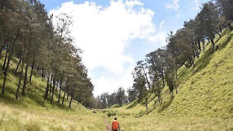 Footage Hiking to Mount Lawu - Indonesian Mountain