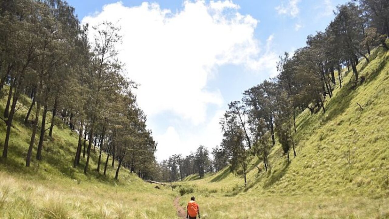 Footage Hiking to Mount Lawu - Indonesian Mountain