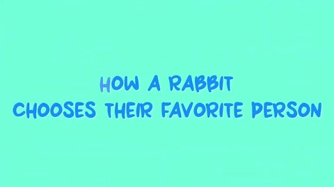 How Rabbits Choose Their Favorite Person