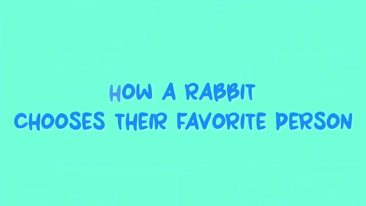 How Rabbits Choose Their Favorite Person