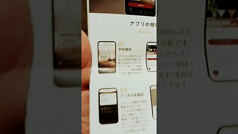 #etsukojunio #etsukofans #fransiscaofficial #teamfransisca #沉连清 #fransisca #fransiscametaworld