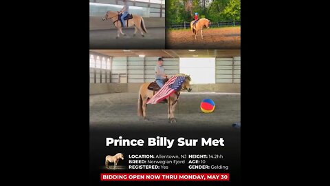 ENDED✨ALL AMERICAN CLASSIC✨ 30 Horses on www.horsebid.com ending MAY 30th