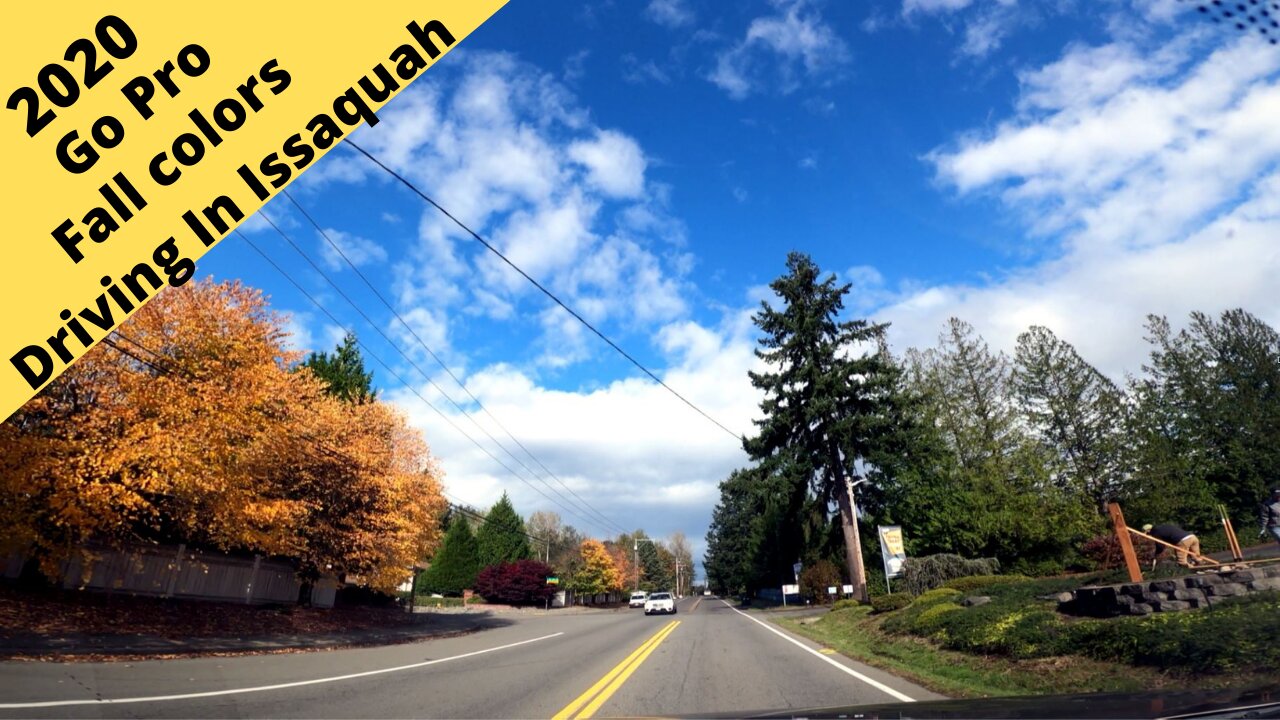 Issaquah Washington: Go Pro Driving, fall colors 2020