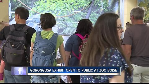 Zoo Boise's Gorongosa exhibit open to the public