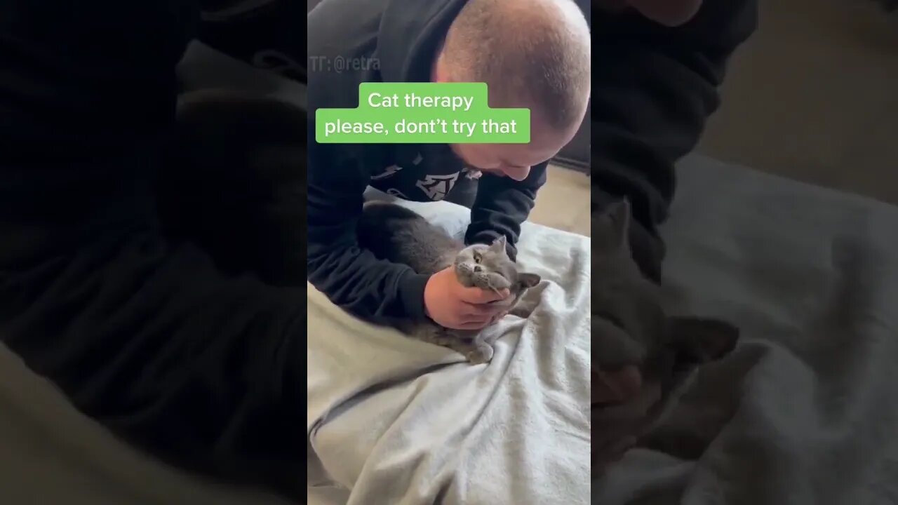 DO NOT ATTEMPT - Animal Chiropractor 🐾