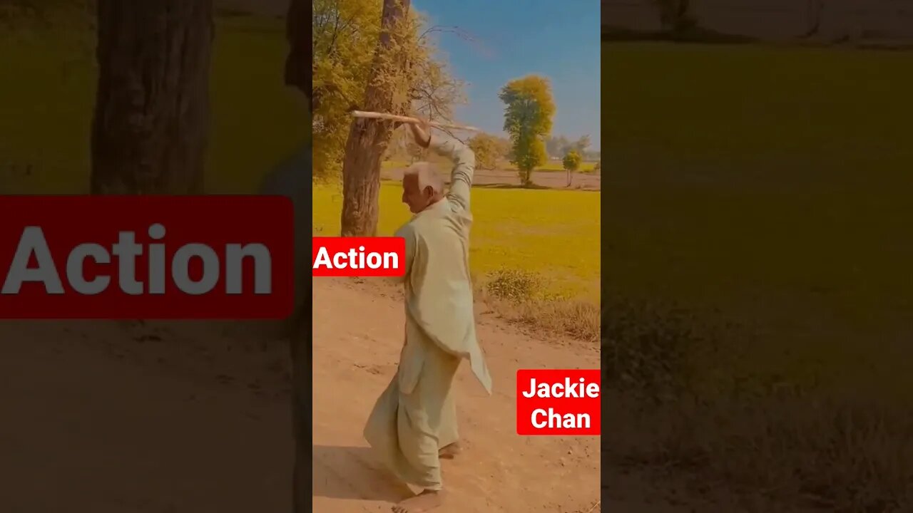 Baba Jackie Chan in Action