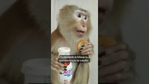 Altas fofocas