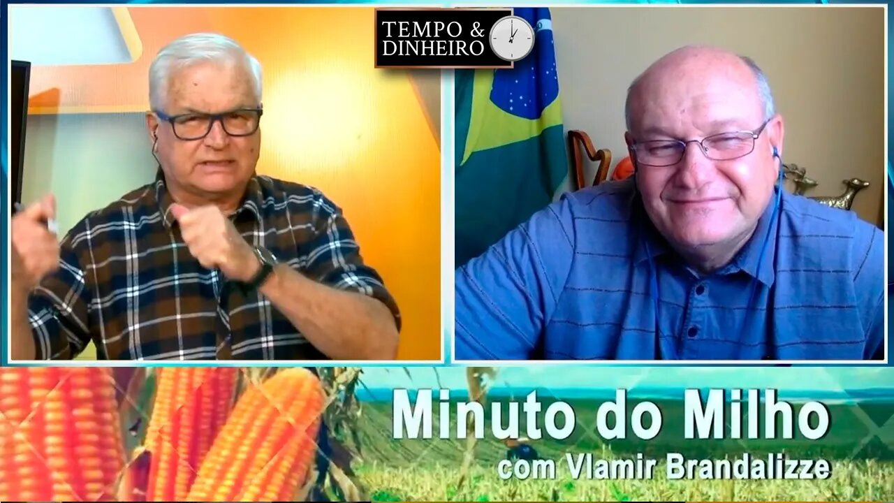 Milho mantendo fôlego nos portos
