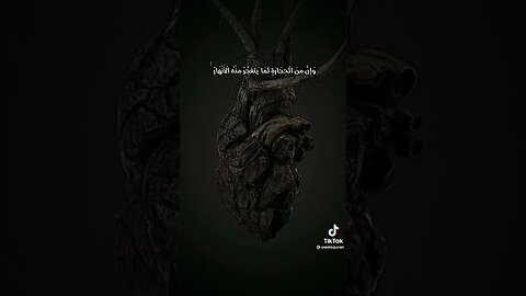ثم قست قلوبكم 🖤