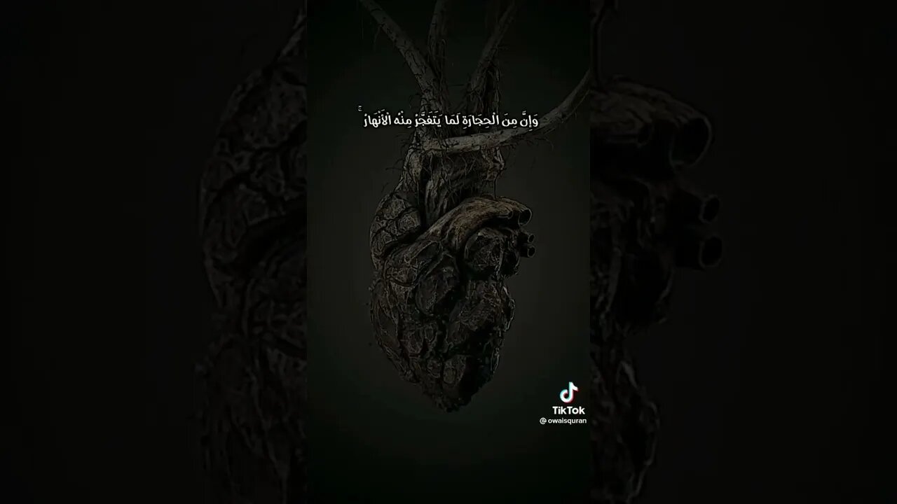 ثم قست قلوبكم 🖤