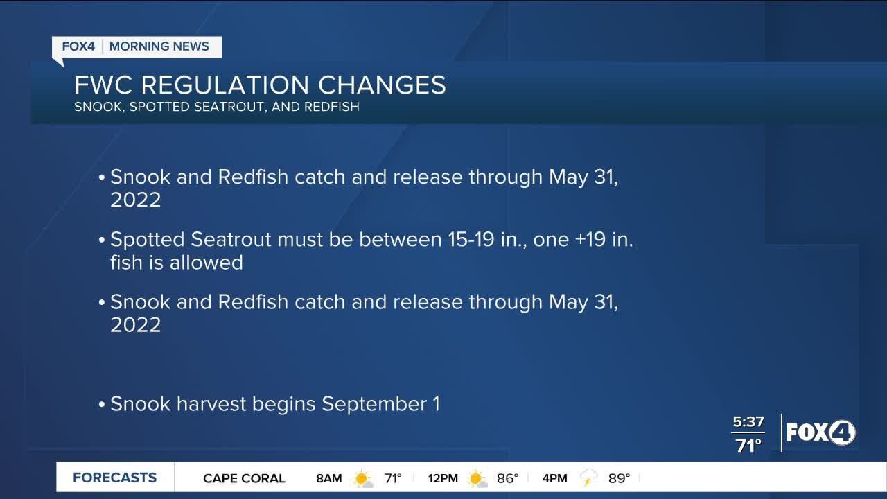 FWC regulation changes on Snook, Seatrout and Redfish