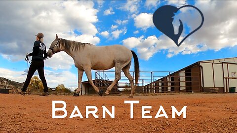 Barn Team at Hearts & Horses Riding Center in Loveland, Colorado