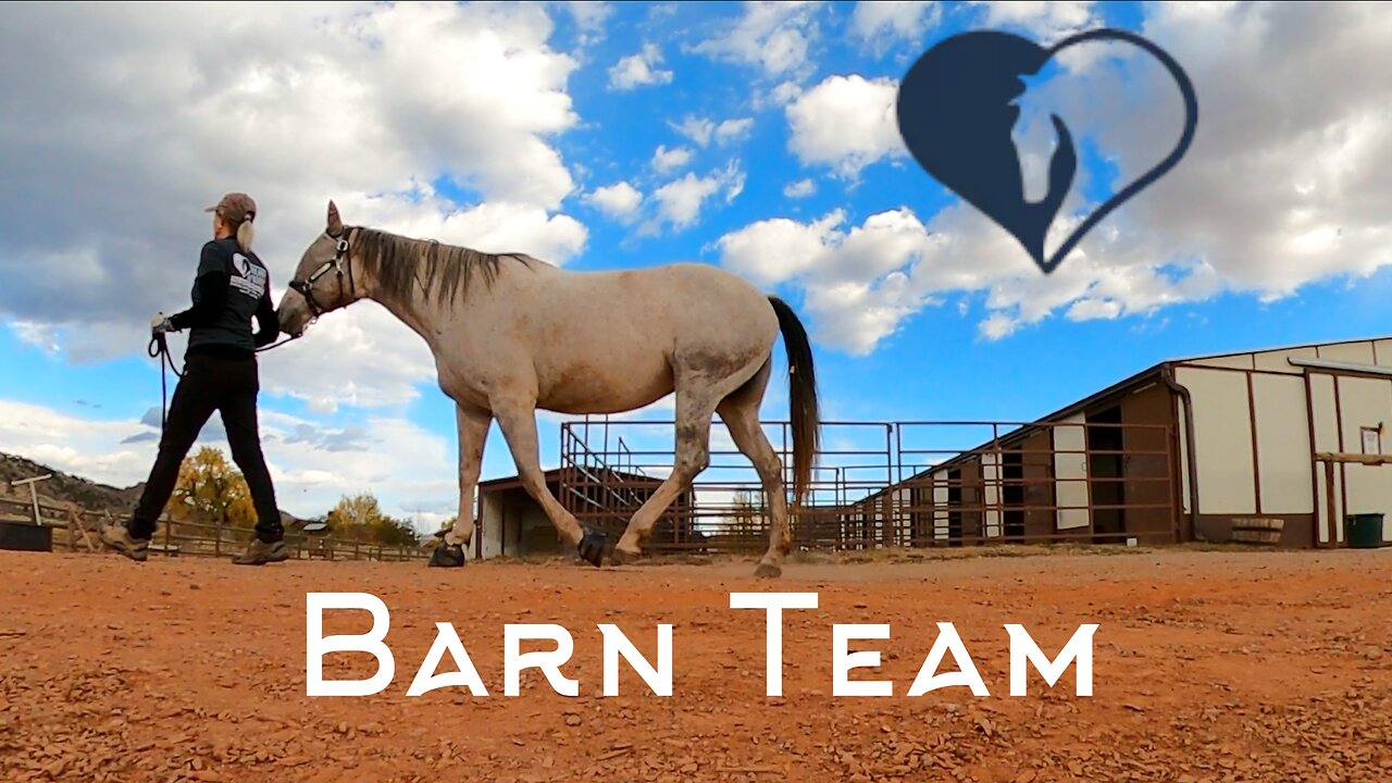 Barn Team at Hearts & Horses Riding Center in Loveland, Colorado