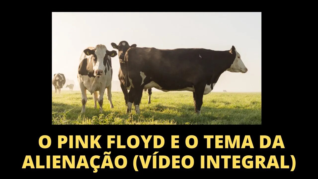 O PINK FLOYD E O TEMA DA ALIENAÇÃO (VÍDEO INTEGRAL) | ROCK PROGRESSIVO E EXPERIÊNCIA ESTÉTICA