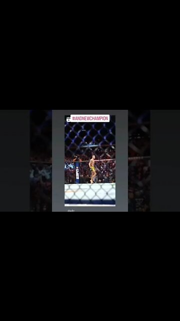 Alex Pereira middleweight champion UFC281 #shorts