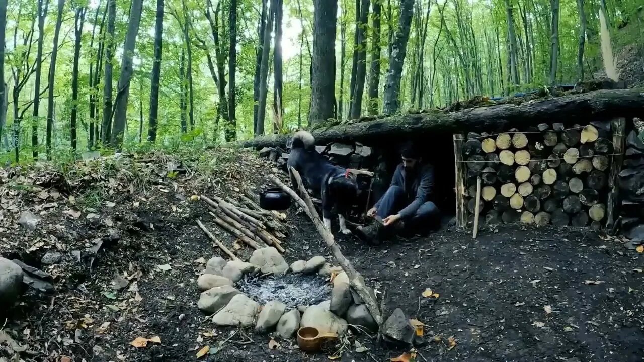 Camping, building wood and rock forest houses and fireplaces, quail cooking - survival, DIY $$ 3