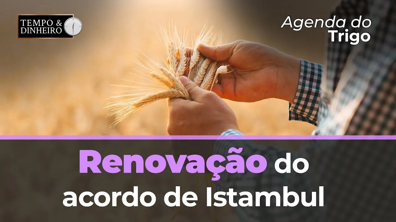 No resumo da semana, a renovação do acordo de Istambul.