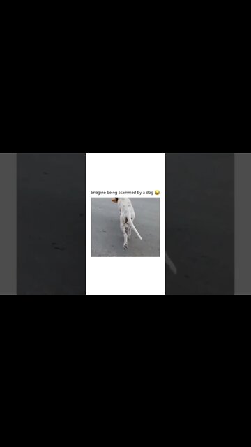 NAH, Ain’t no way!!! #shorts #viral #youtubeshorts #reels #foryou #subscribe