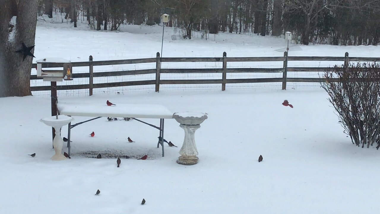Snow