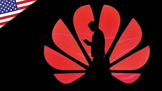 NTD Italia: Huawei ha dato 500 mila dollari alla Casa Bianca per attività di lobbying