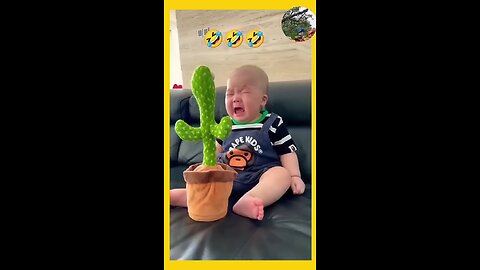 funny videos