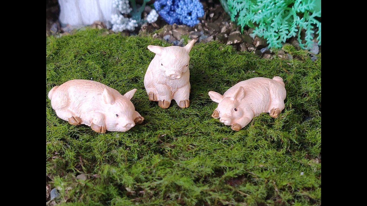 Teelie's Fairy Garden | Three Little Pig | Etsy Products