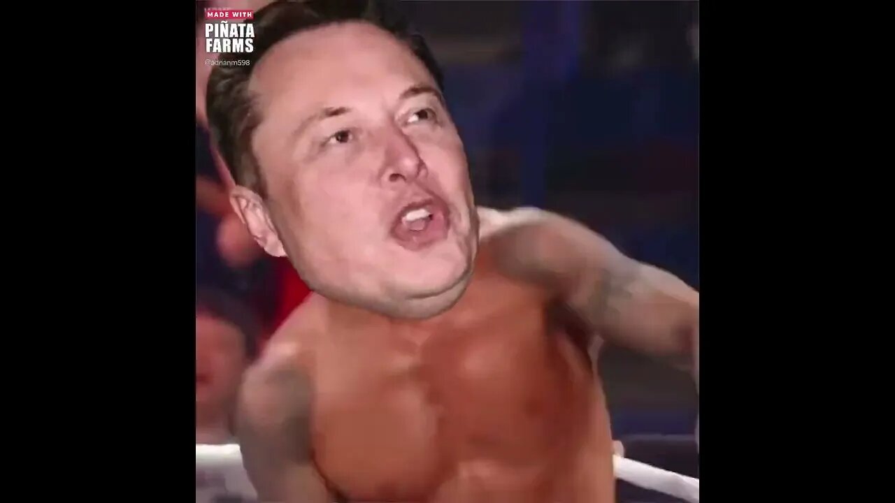 Mark Zuckerberg Thought he beat Elon Musk in the match but he didn’t