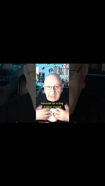 Hiring A Dog Trainer Information