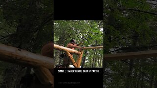 Simple Timber Frame Barn Build // Part 8 #shorts