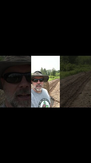 Potatoes in the Straw #shorts