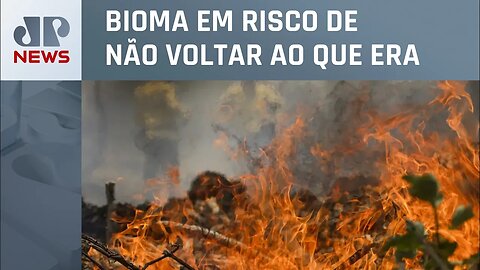 Incêndios agravados pelo calor avançam pelo Pantanal