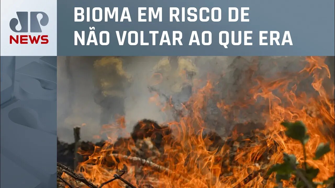 Incêndios agravados pelo calor avançam pelo Pantanal