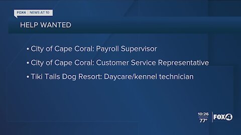 City of Cape Coral and Tiki Tails Dog Resort hiring