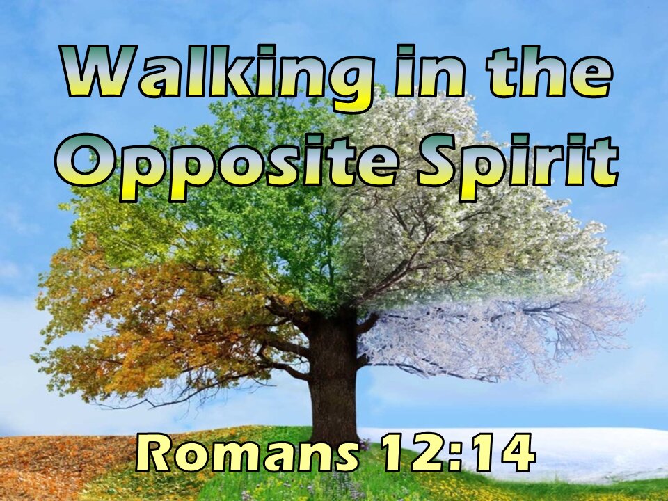 Walking in the Opposite Spirit