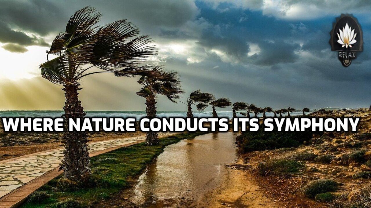 Nature's Wind Orchestra