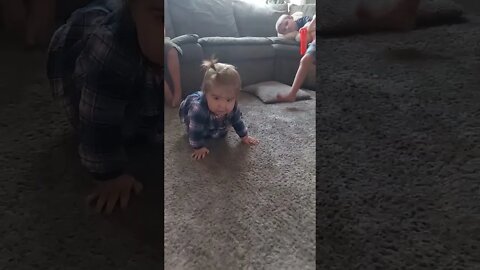 First Crawl