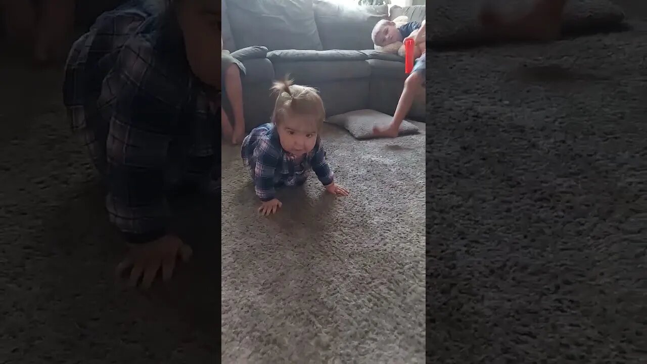 First Crawl