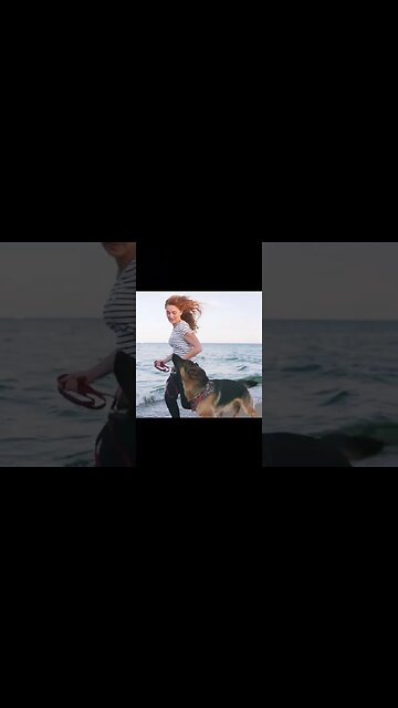 GERMAN SHEPHERD FACTS #Shorts