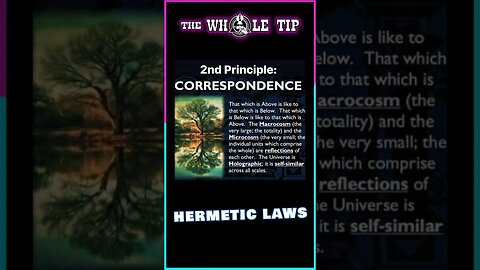 HERMETIC LAW II - CORRESPONDENCE - the Whole Tip #shorts #short