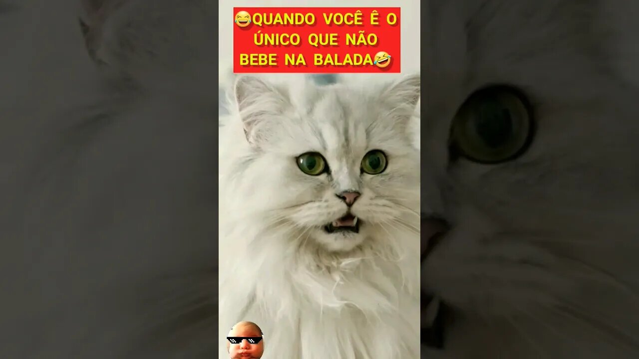 😅QUANDO VOCÊ É ÚNICO QUE NÃO BEBE NA BALADA. #shorts #memesbr #viralvideo