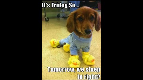 OH, OK You Don't Say? 5/7/21 Fun Day Friday