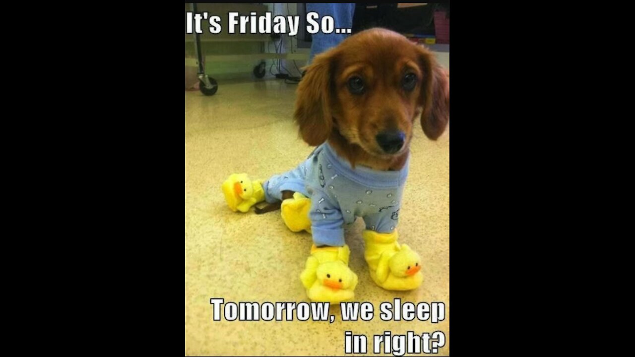 OH, OK You Don't Say? 5/7/21 Fun Day Friday