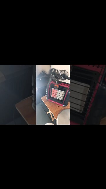 Putin love ❤️ dog 🐕