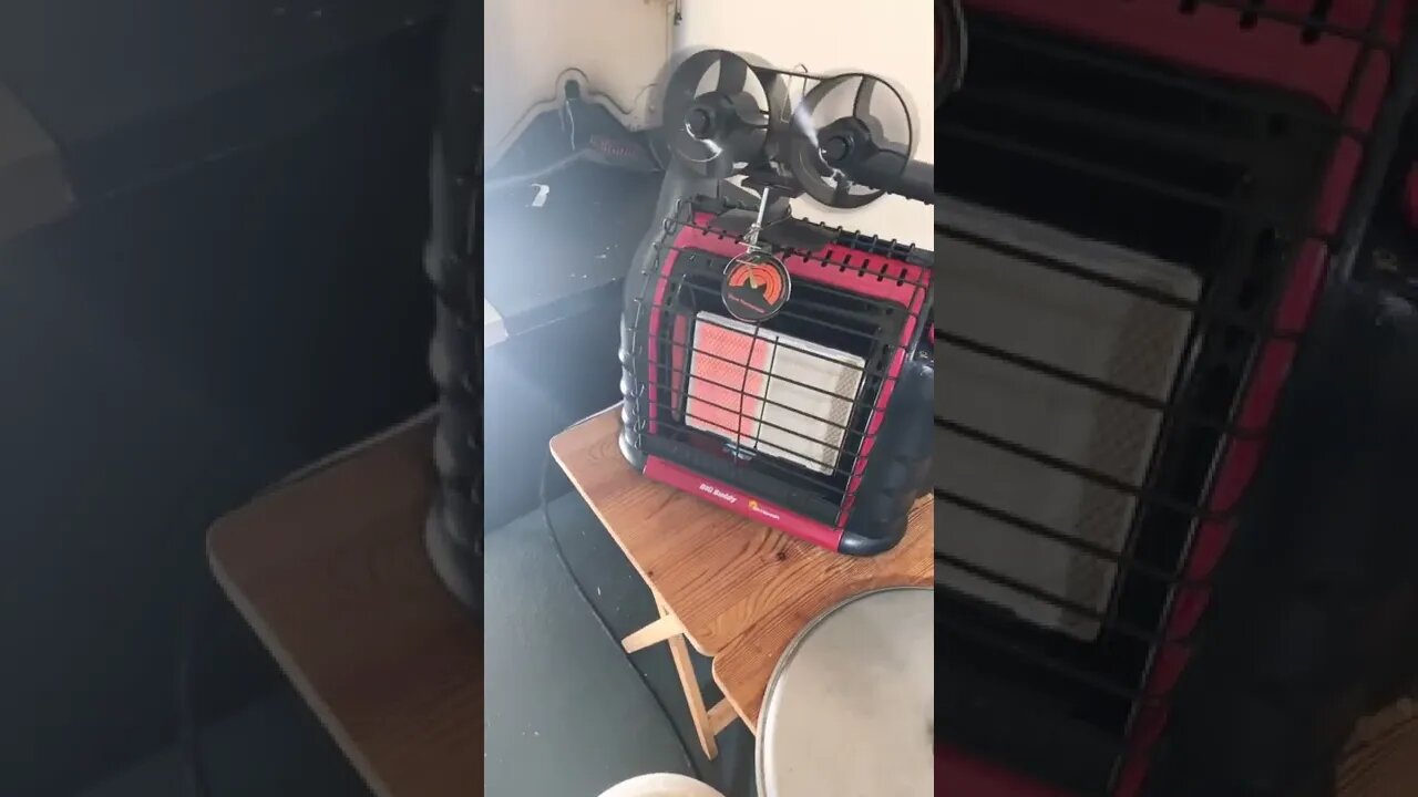 Putin love ❤️ dog 🐕