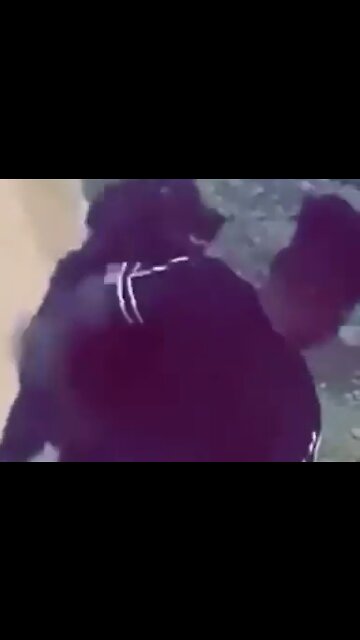 AFRICAN MIDGET FEARS PLAYING WITH DOG