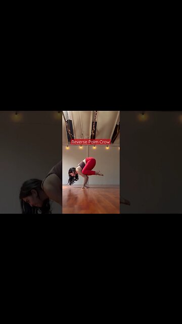 Transition to try… 🐦 to 🦚