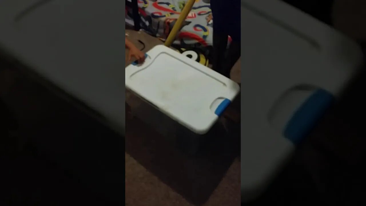 Tasha so Tiny in a Bin hiding! lol 34