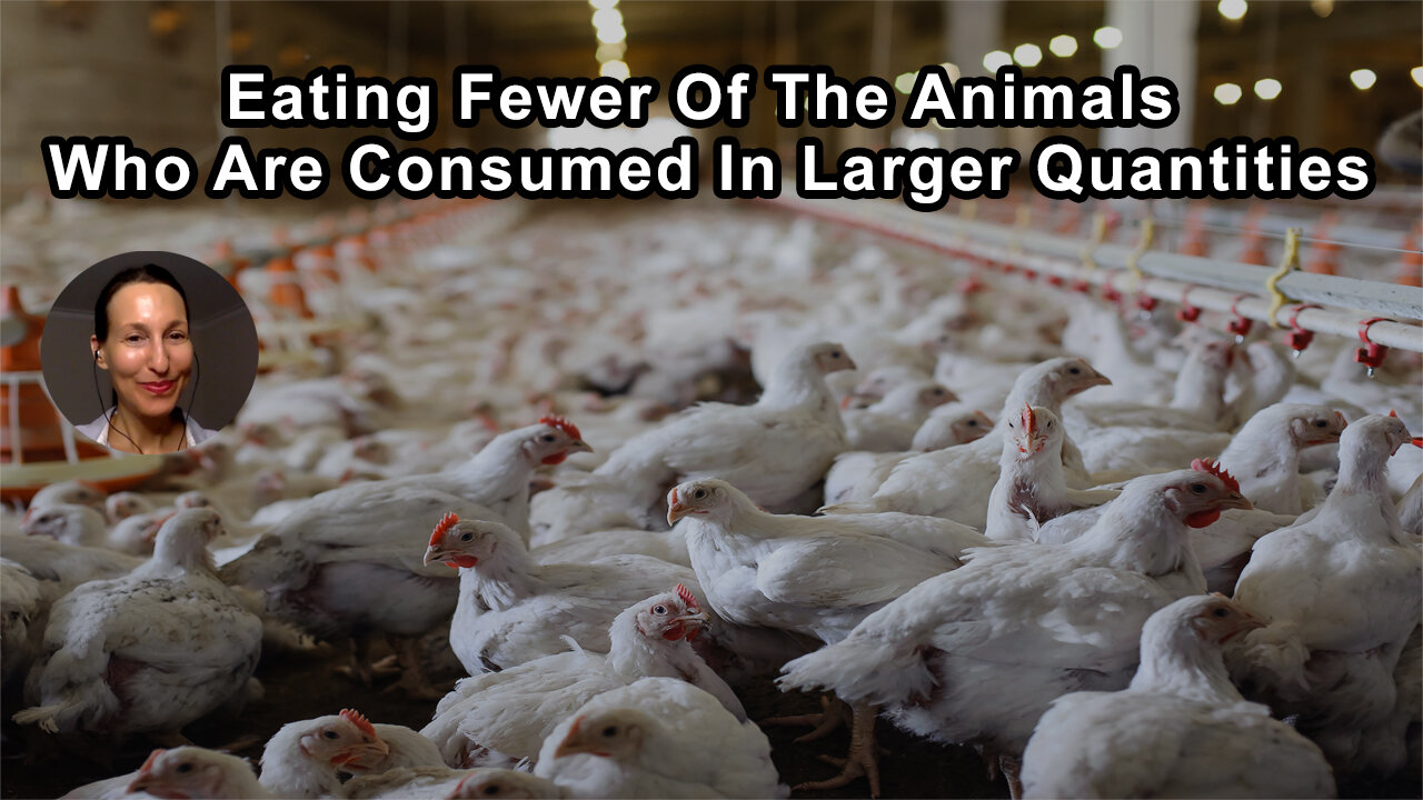 Eating Fewer Of The Animals Who Are Consumed In Larger Quantities Is Often A More Effective Means